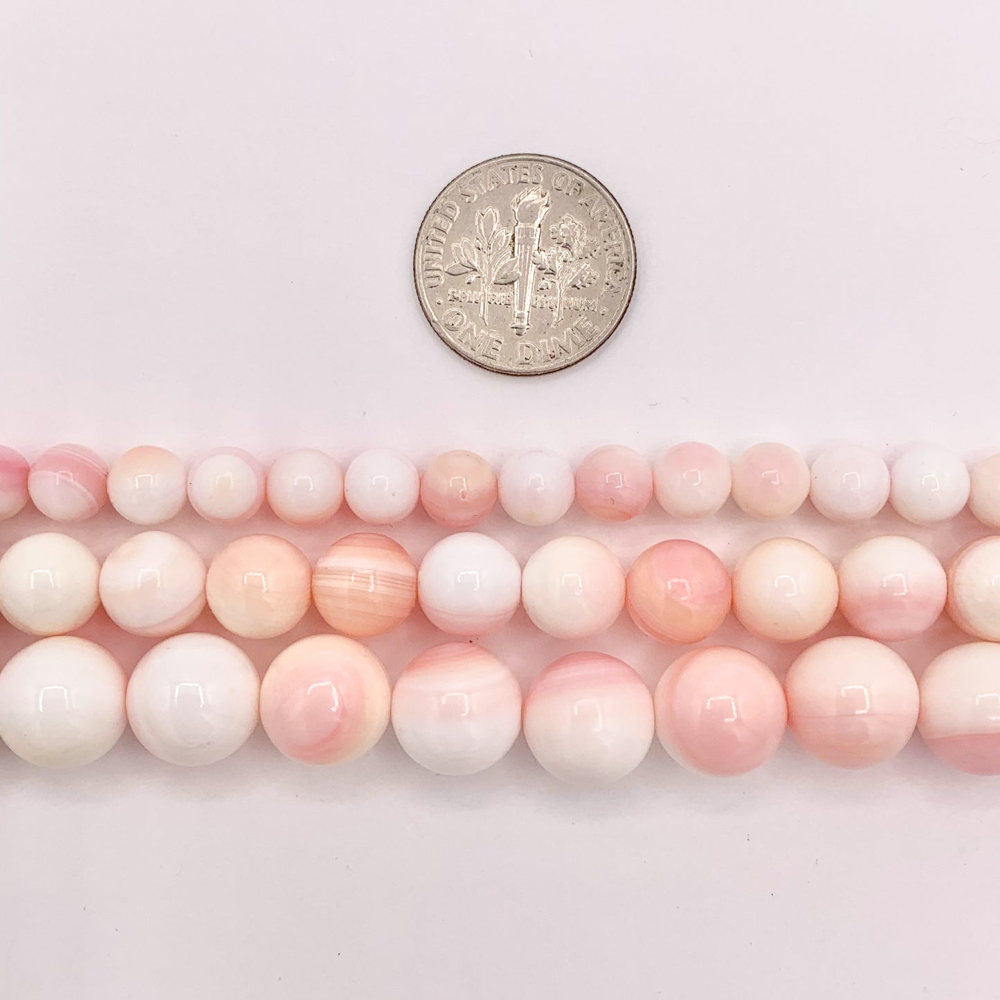 Natural Bahamas Pink Queen Conch Round Smooth Beads in 6mm 8mm 10mm Around 15.5"