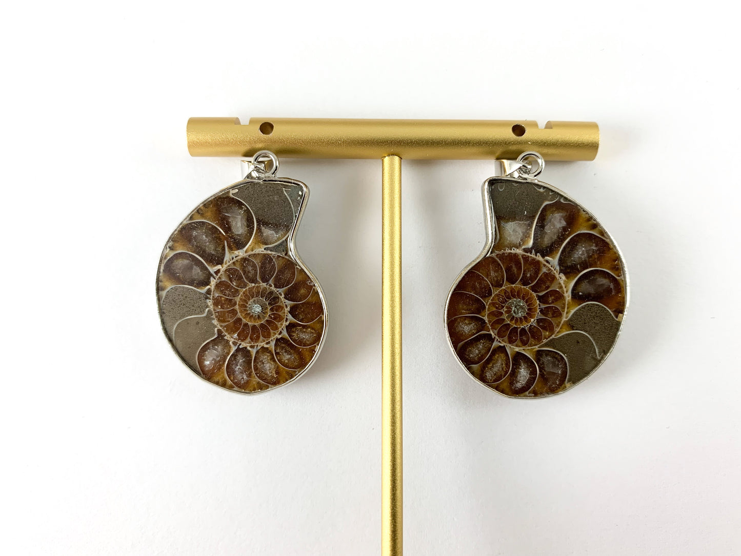 Beautiful Ancient Natural Ammonite Fossil Pair Pendant with Silver Trim, Friendship Pendant/Couple Pendant