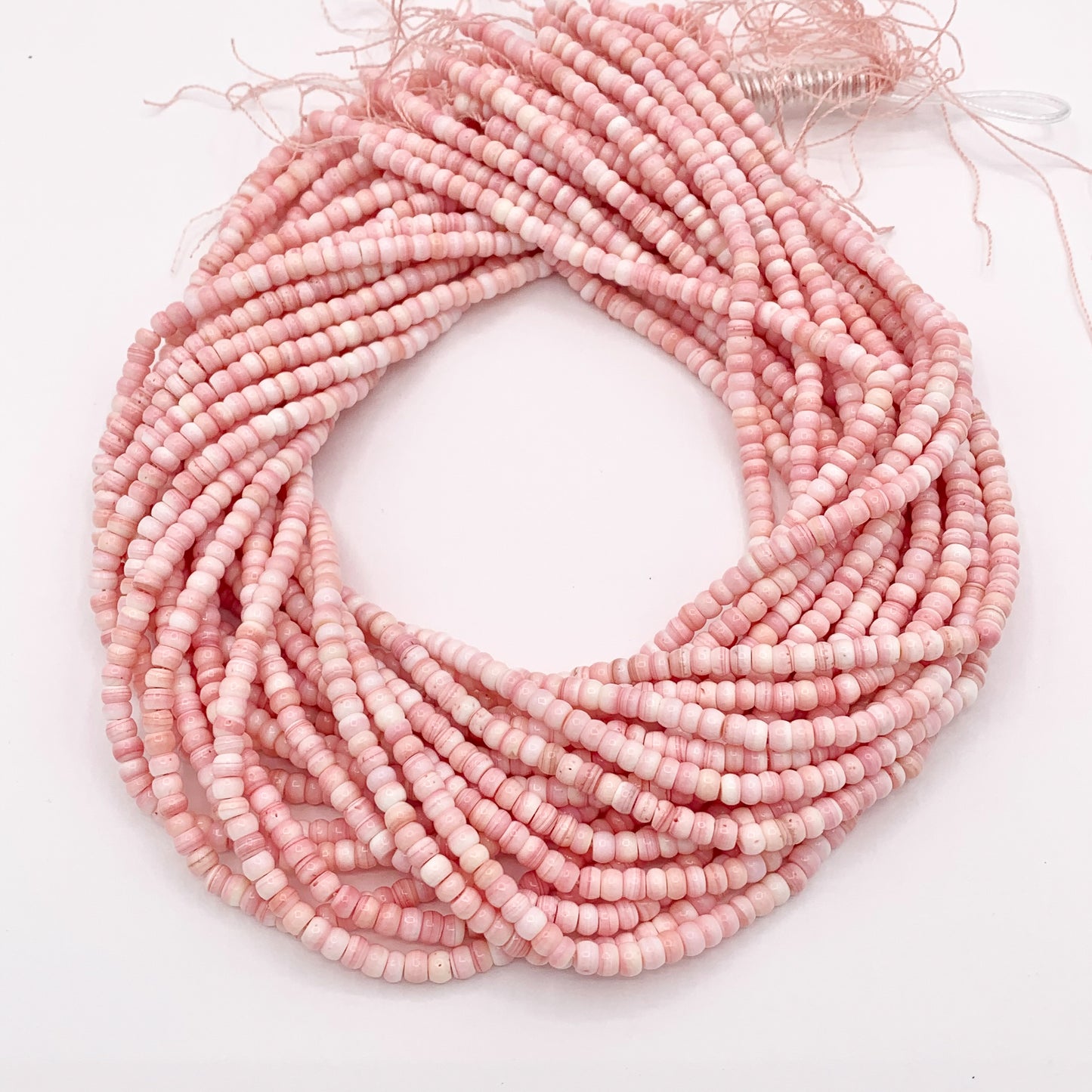 Natural Bahamas Pink Queen Conch Rondelle Beads in 4mm 6mm 8mm 10mm Around 16"
