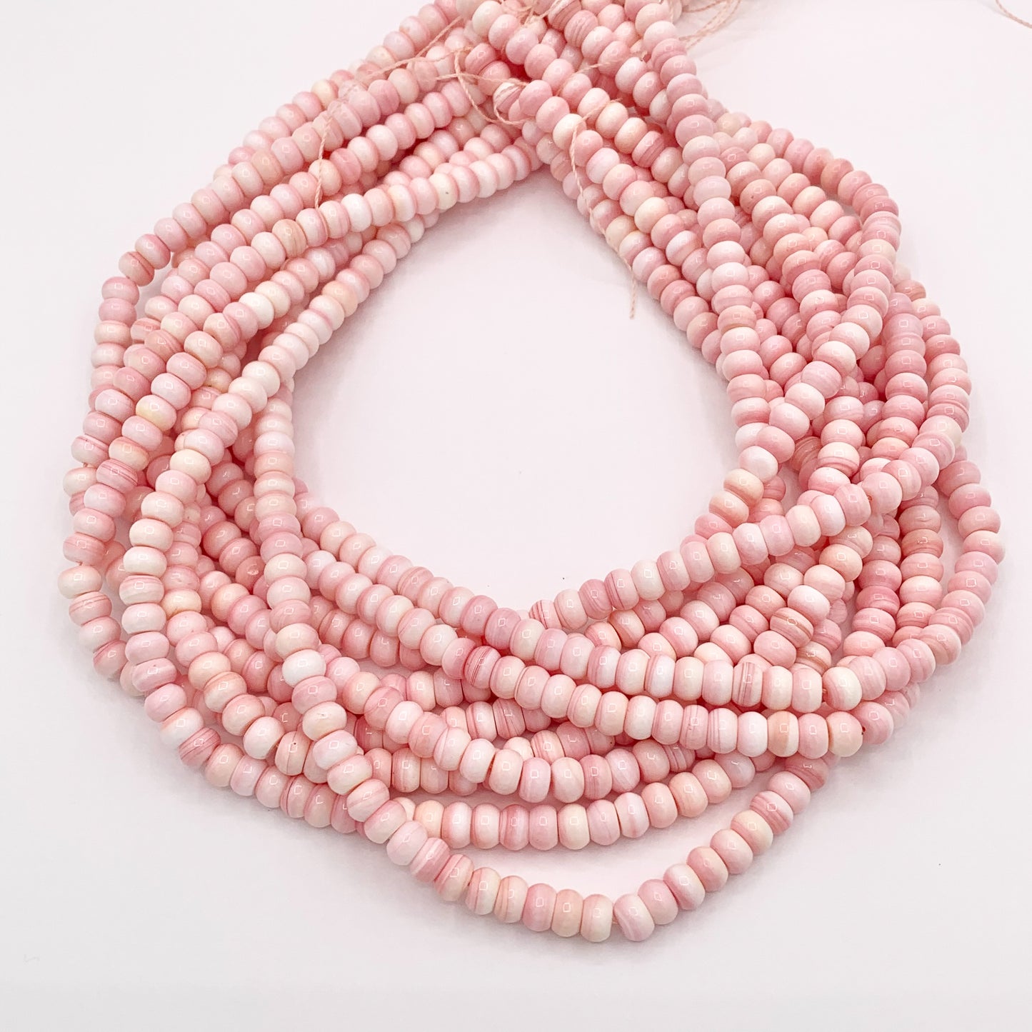 Natural Bahamas Pink Queen Conch Rondelle Beads in 4mm 6mm 8mm 10mm Around 16"