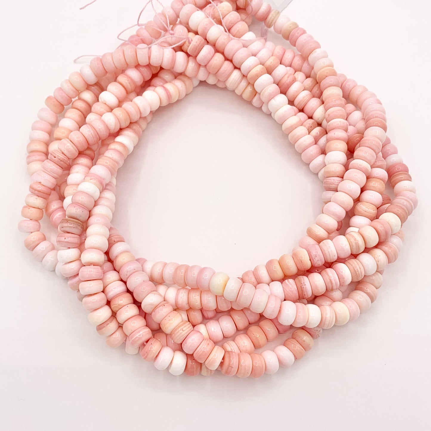 Natural Bahamas Pink Queen Conch Rondelle Beads in 4mm 6mm 8mm 10mm Around 16"