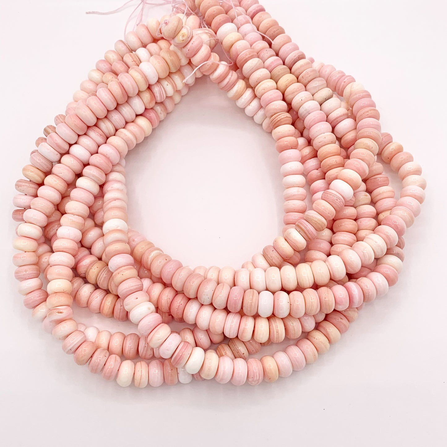 Natural Bahamas Pink Queen Conch Rondelle Beads in 4mm 6mm 8mm 10mm Around 16"