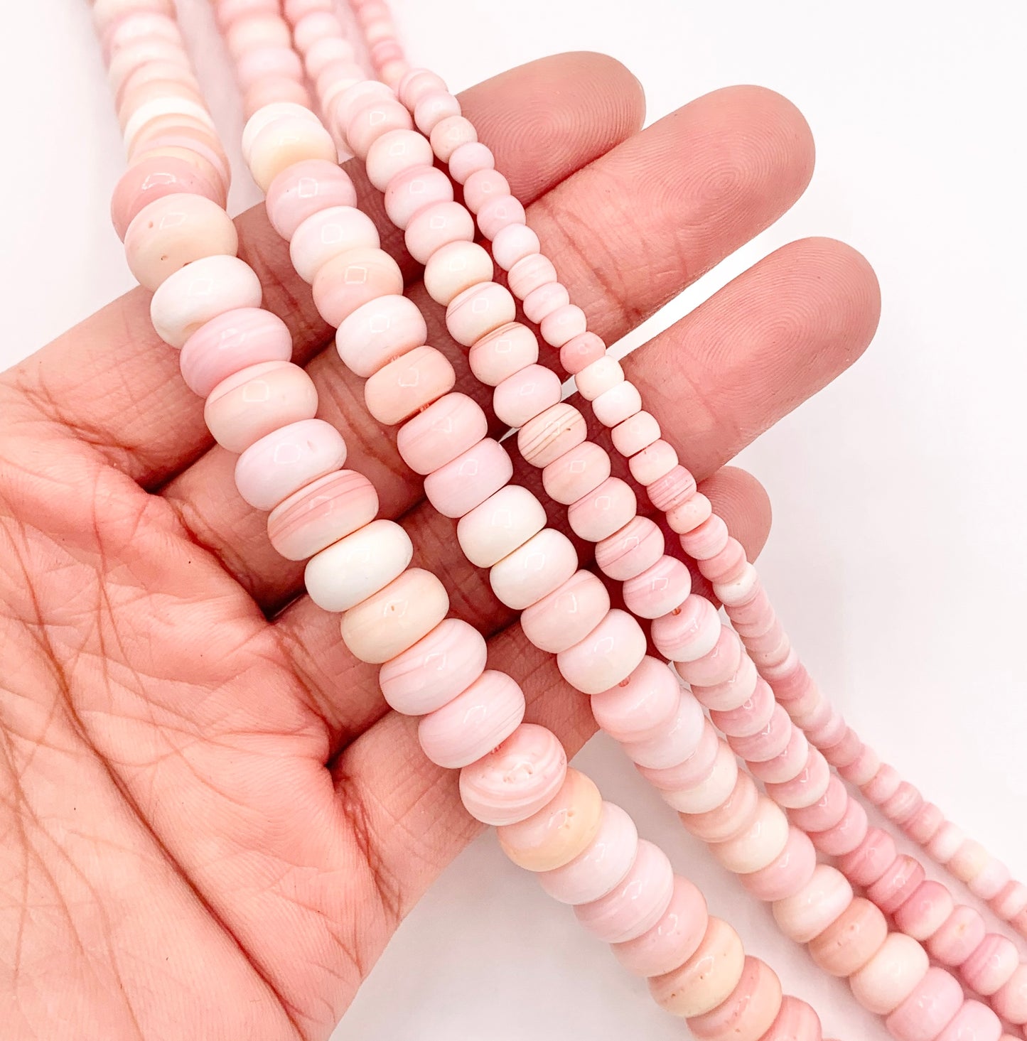 Natural Bahamas Pink Queen Conch Rondelle Beads in 4mm 6mm 8mm 10mm Around 16"
