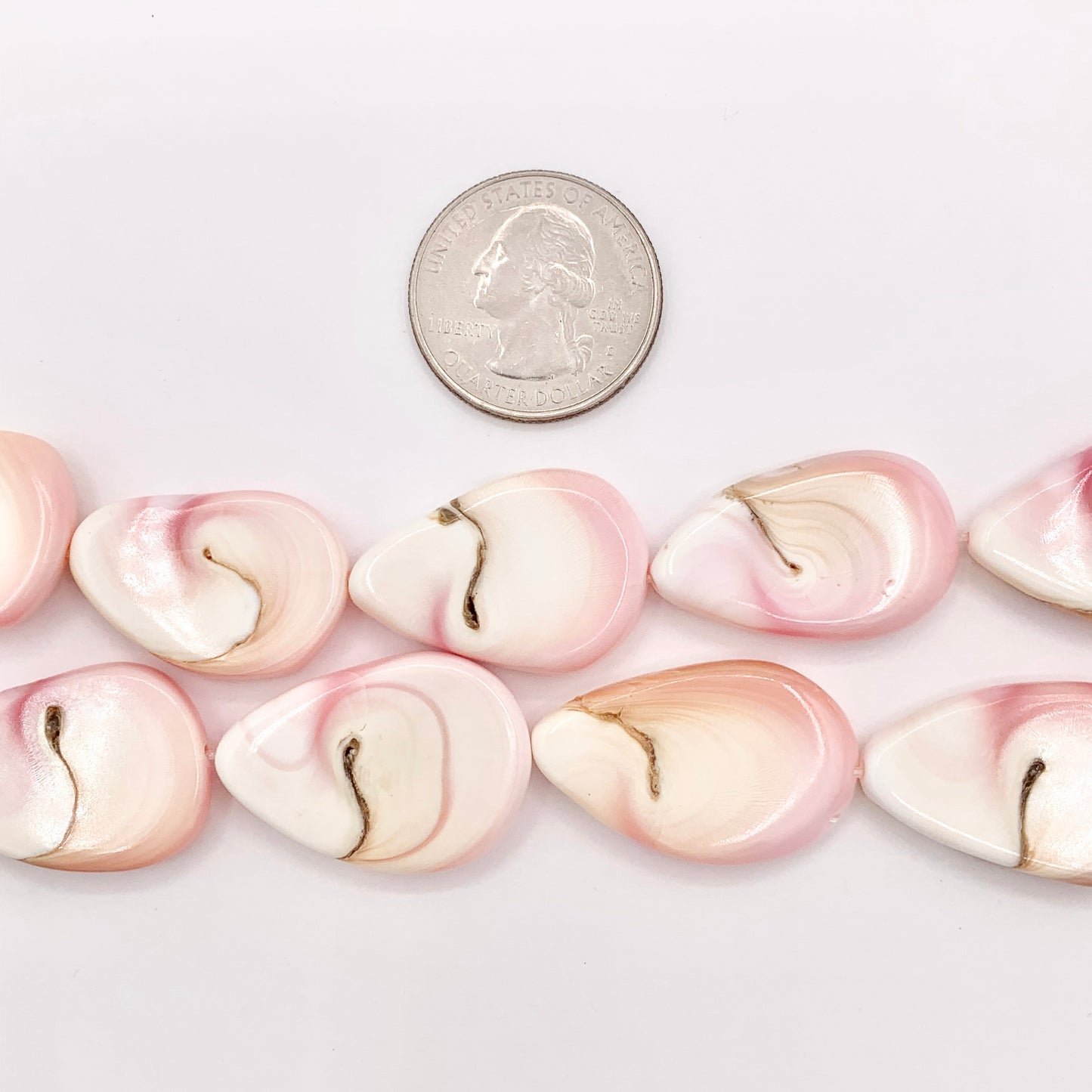 Natural Pink Queen Conch 1" Long Teardrop Beads for Jewelry Making Around 16" Strand
