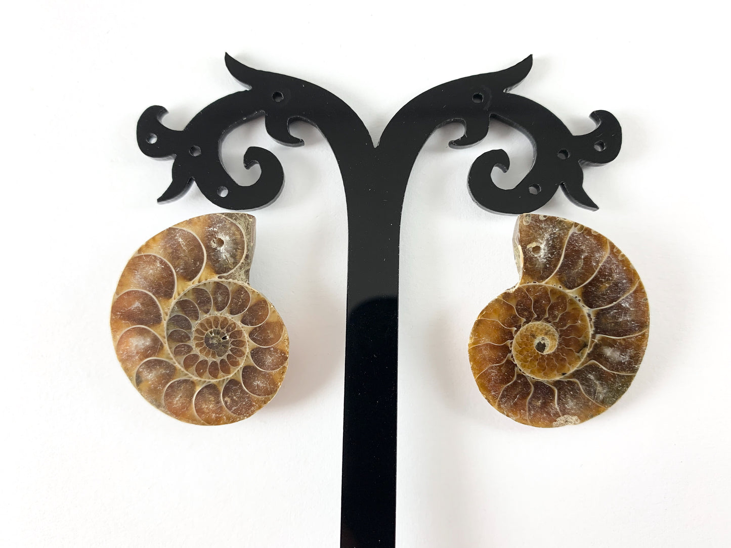 Beautiful Ancient Natural Ammonite Fossil Pair Pendant Energy Stone 3 Sizes Available!