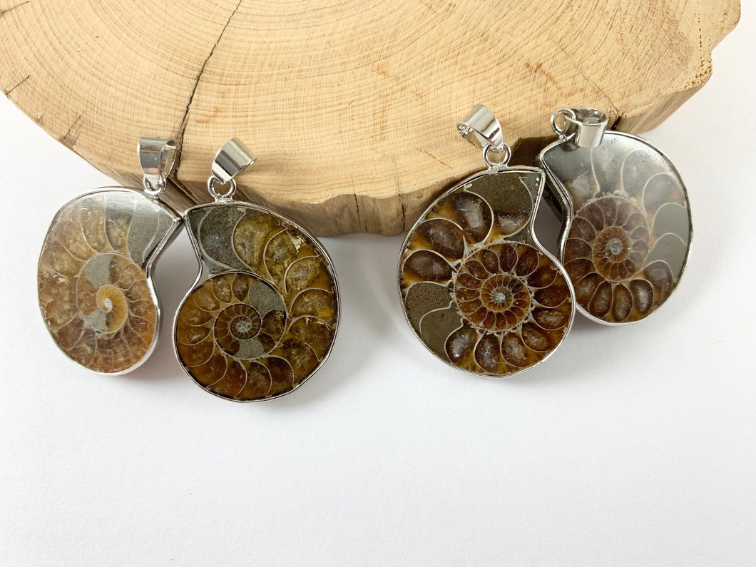 Beautiful Ancient Natural Ammonite Fossil Pair Pendant with Silver Trim, Friendship Pendant/Couple Pendant