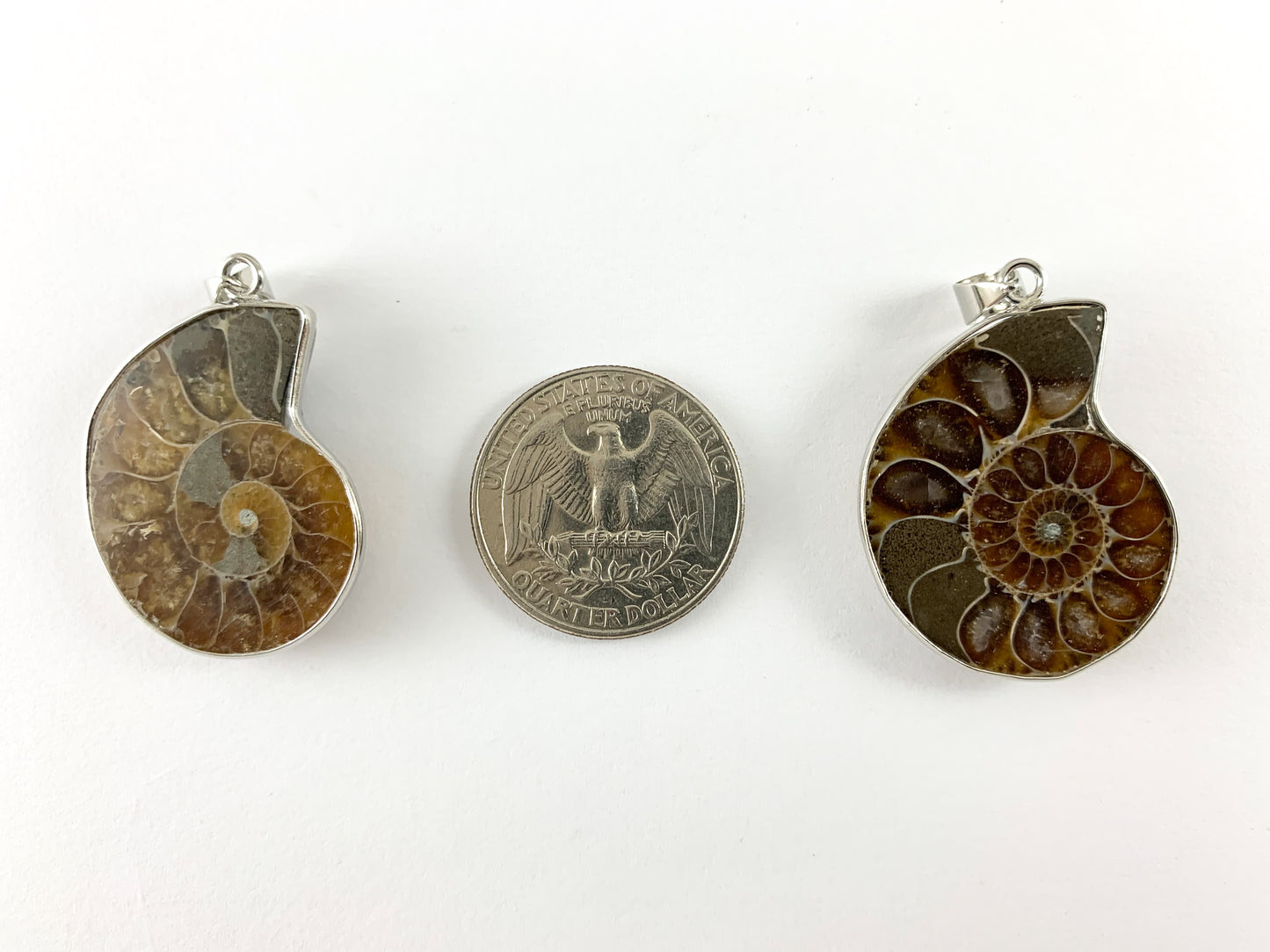 Beautiful Ancient Natural Ammonite Fossil Pair Pendant with Silver Trim, Friendship Pendant/Couple Pendant