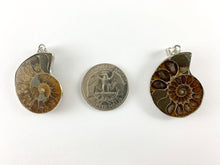 Load image into Gallery viewer, Beautiful Ancient Natural Ammonite Fossil Pair Pendant with Silver Trim, Friendship Pendant/Couple Pendant
