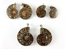 Load image into Gallery viewer, 1 PC Beautiful Ancient Natural Ammonite Fossil Single Pendant with Silver Trim
