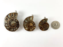 Load image into Gallery viewer, 1 PC Beautiful Ancient Natural Ammonite Fossil Single Pendant with Silver Trim
