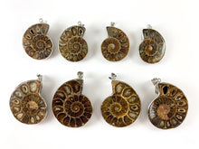 Load image into Gallery viewer, 1 PC Beautiful Ancient Natural Ammonite Fossil Single Pendant with Silver Trim
