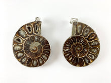 Load image into Gallery viewer, 1 PC Beautiful Ancient Natural Ammonite Fossil Single Pendant with Silver Trim
