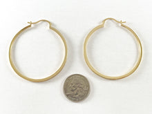 Load image into Gallery viewer, 18K Gold/Silver Plated Dainty Micro CZ Pave Hoop Earrings
