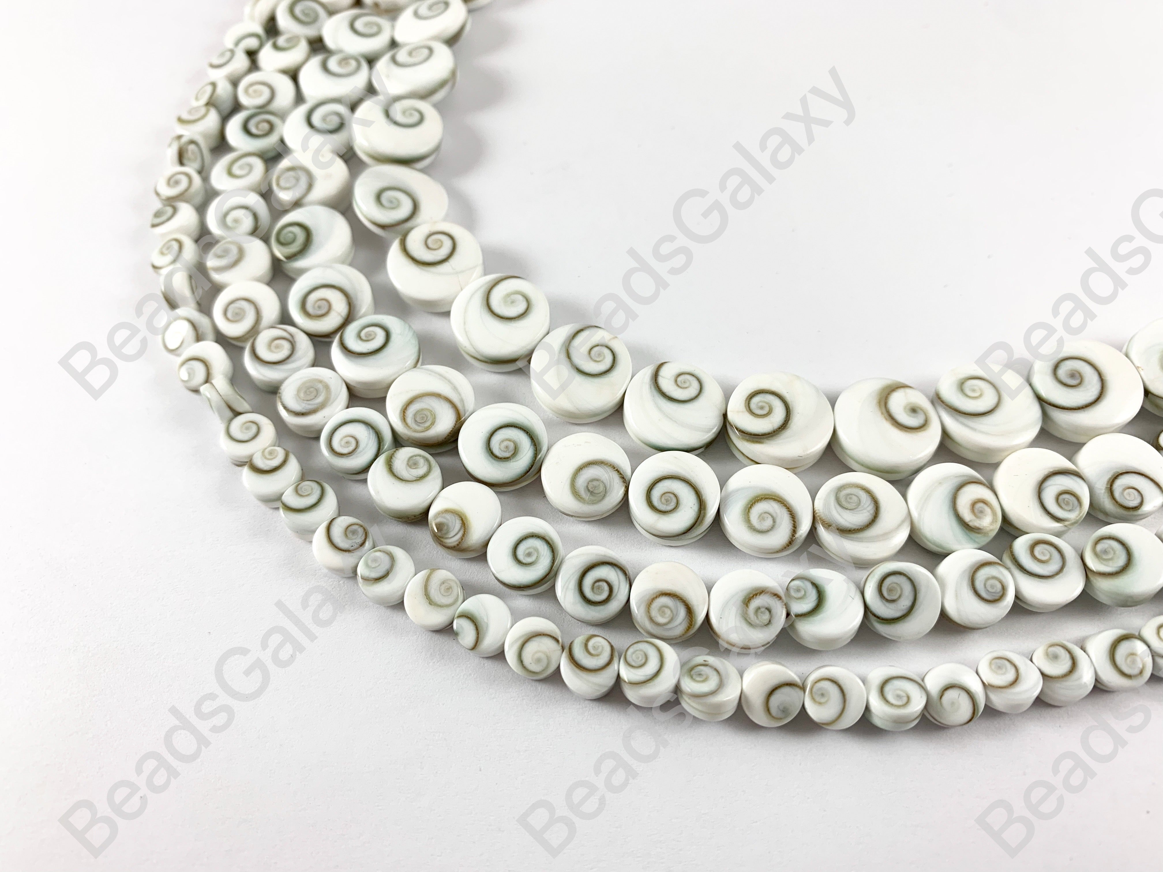 Shiva Eye Shell - Natural Indonesian Snowy-White Swirl Coin Shape Shel ...